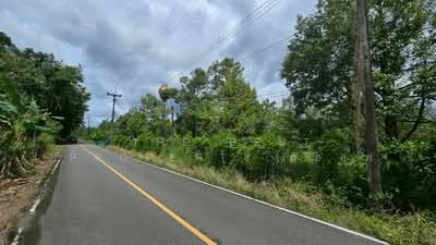 ขาย - ที่ดินท่าใหม่ จันทบุรี, จันทบุรี