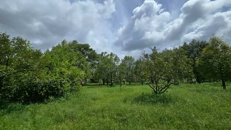 ที่ดินท่าใหม่ จันทบุรี, Chanthaburi, Khao Baisri, Tha Mai, Chanthaburi, , 9,164 sqm, Land For Sale, by The Best Property กอล์ฟ, 500252916 - DDproperty.com