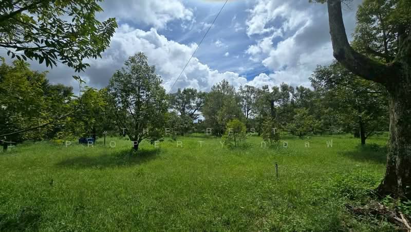 ที่ดินท่าใหม่ จันทบุรี, จันทบุรี, เขาบายศรี, ท่าใหม่, จันทบุรี, 9,164 ตร.ม., ที่ดิน ขาย, โดย The Best Property กอล์ฟ, 500252916 - DDproperty.com