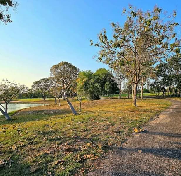 Land for Sale in Huai Yai Pattaya, Chon Buri (Pattaya), Huai Yai, Bang Lamung (Pattaya), Chon Buri (Pattaya), , 1,600 sqm, Land For Sale, by PLC real estate, 500252934 - DDproperty.com