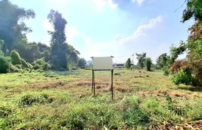ขาย - ที่ดินสะอาดสมบูรณ์ ร้อยเอ็ด, ร้อยเอ็ด