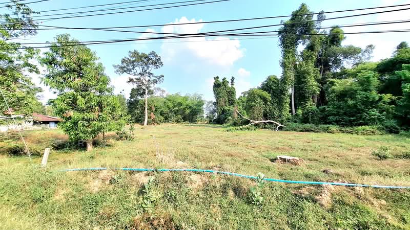 ที่ดินสะอาดสมบูรณ์ ร้อยเอ็ด, ร้อยเอ็ด, สะอาดสมบูรณ์, เมืองร้อยเอ็ด, ร้อยเอ็ด, 3,200 ตร.ม., ที่ดิน ขาย, โดย The Best Property ทองใบ, 500252945 - DDproperty.com
