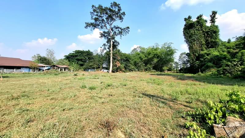 ที่ดินสะอาดสมบูรณ์ ร้อยเอ็ด, Roi Et, Sa-at Sombun, Muang Roi Et, Roi Et, , 3,200 sqm, Land For Sale, by The Best Property ทองใบ, 500252945 - DDproperty.com