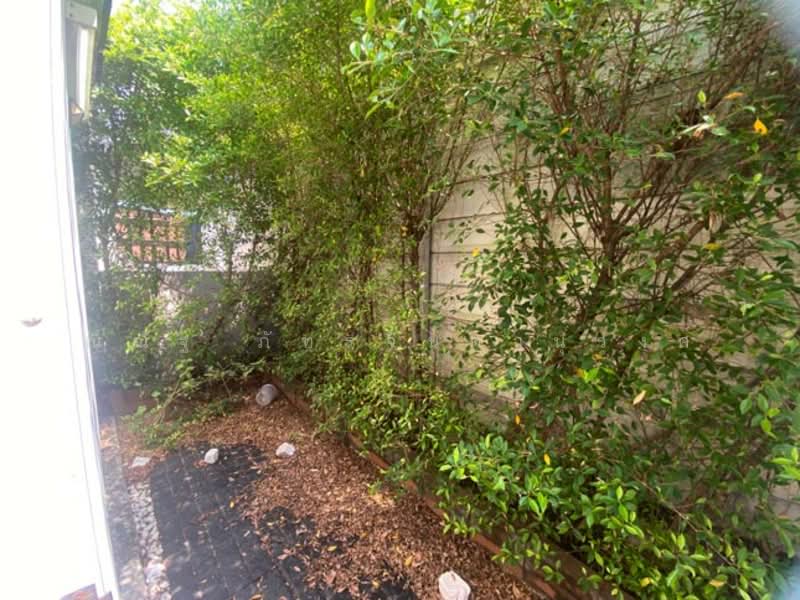 S Gate Bangkok-Pathumthani, Pathum Thani, Soi Wat Nong Prong, Bang Dua, Muang Pathum Thani, Pathum Thani, 3 Bedrooms, 110 sqm, Townhouse For Sale, by ณณัฐ ภัทรจินดานุวงศ์, 500252958 - DDproperty.com