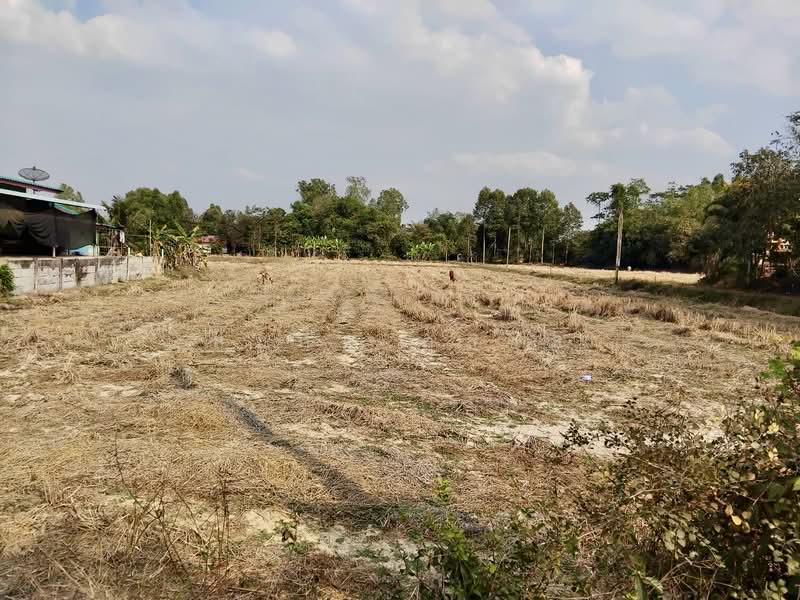 วังเย็น, Chachoengsao, Wang Yen, Plaeng Yao, Chachoengsao, , 5,920 sqm, Land For Sale, by สมภพ กุลชล, 500252986 - DDproperty.com