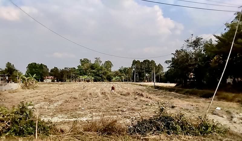 วังเย็น, วังเย็น, แปลงยาว, ฉะเชิงเทรา, 5,920 ตร.ม., Land For Sale, โดย สมภพ กุลชล, 500252986 - DDproperty.com