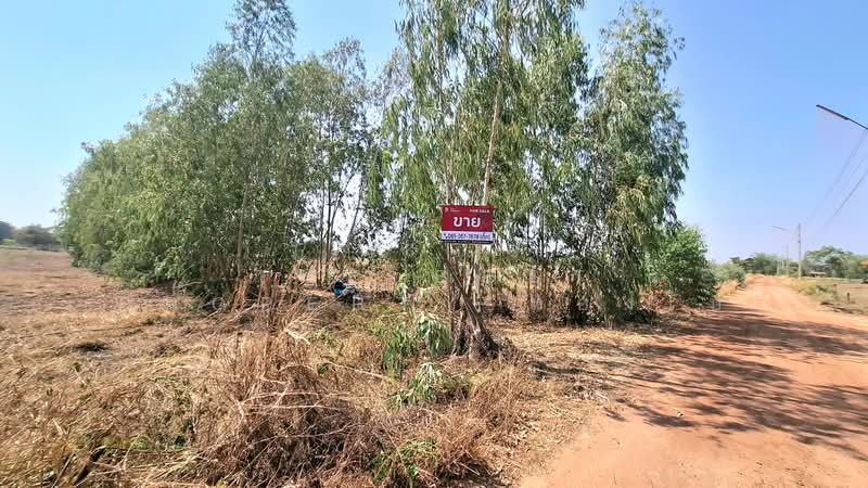 ที่ดินเสลภูมิ ร้อยเอ็ด, Roi Et, Tha Muang, Selaphum, Roi Et, , 1,600 sqm, Land For Sale, by The Best Property ทองใบ, 500253020 - DDproperty.com