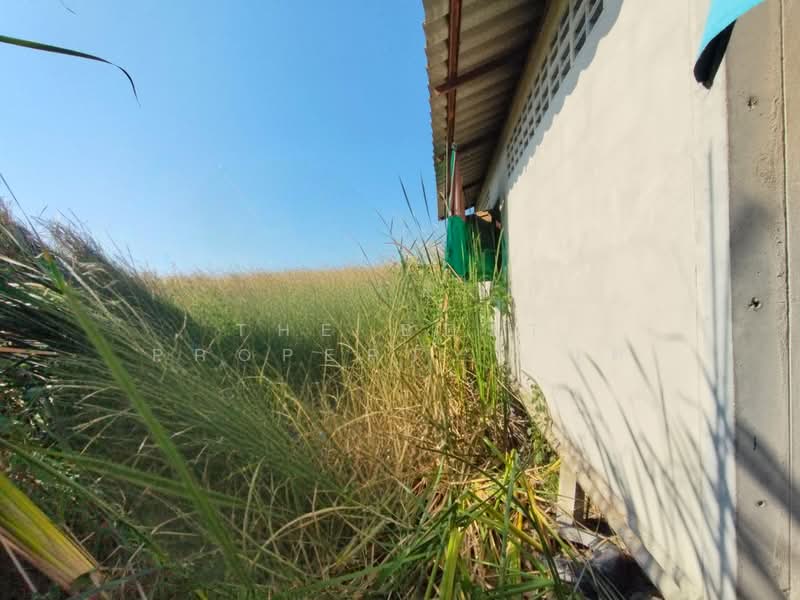 ที่ดินพร้อมสิ่งปลูกสร้างนครชัยศรี นครปฐม, Nakhon Pathom, Khun Kaeo, Nakhon Chai Sri, Nakhon Pathom, , 200 sqm, Land For Sale, by The Best Property  นุต, 500253070 - DDproperty.com