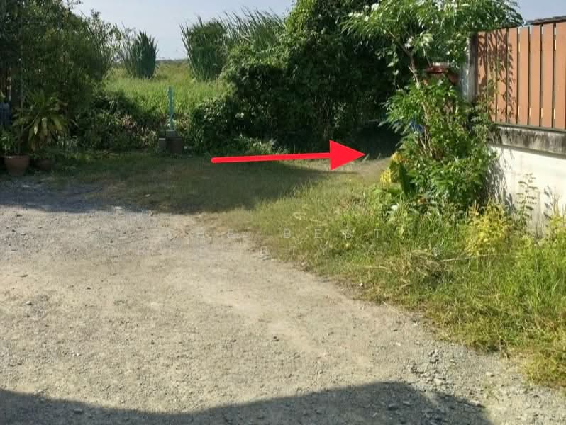 ที่ดินพร้อมสิ่งปลูกสร้างนครชัยศรี นครปฐม, Nakhon Pathom, Khun Kaeo, Nakhon Chai Sri, Nakhon Pathom, , 200 sqm, Land For Sale, by The Best Property  นุต, 500253070 - DDproperty.com