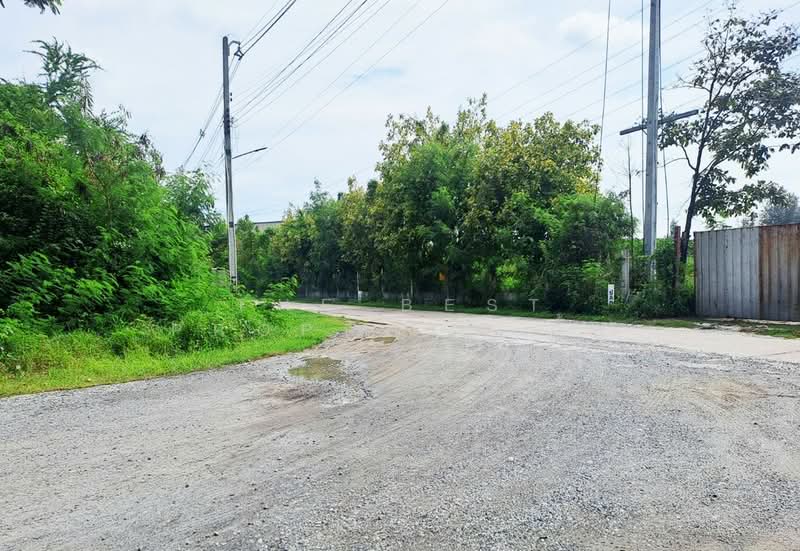 ขาย - ที่ดินพานทอง ชลบุรี, ชลบุรี