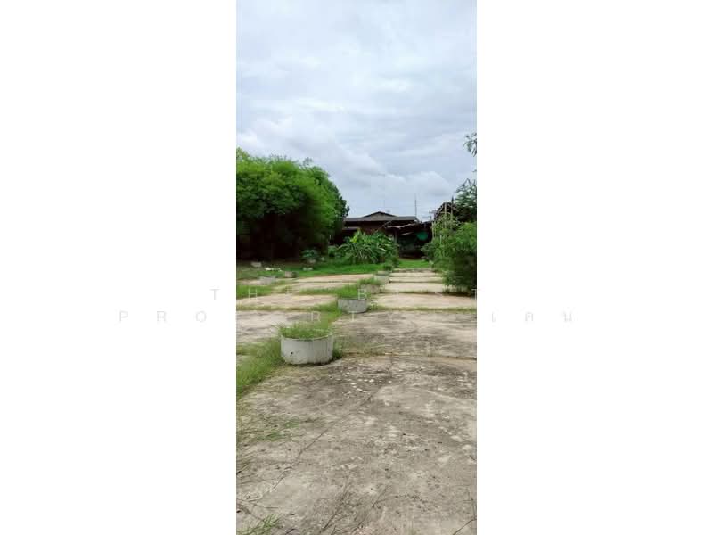 โกดังพร้อมออฟฟิศหน้าเมือง ราชบุรี, Ratchaburi, Nha Mueng, Muang Ratchaburi, Ratchaburi, 1 Bedroom, 120 sqm, Single Detached House For Sale, by The Best Property  เคน, 500253136 - DDproperty.com