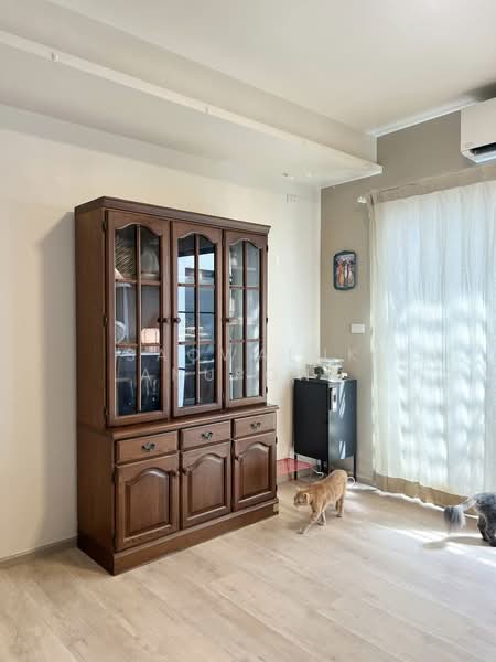 Villaggio 3 Srinakarin-Bangna : วิลลาจจิโอ 3 ศรีนครินทร์-บางนา, สมุทรปราการ, บางแก้ว, บางพลี, สมุทรปราการ, 150 ตร.ม., บ้านเดี่ยว ให้เช่า, โดย Saowaluk Anupong, 500253206 - DDproperty.com
