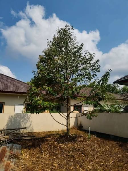 ที่ดินเกาะขวาง จันทบุรี, Chanthaburi, Ko Khwang, Muang Chanthaburi, Chanthaburi, , 400 sqm, Land For Sale, by The Best Property โชติ, 500253303 - DDproperty.com