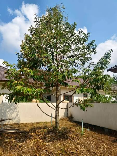 ที่ดินเกาะขวาง จันทบุรี, Chanthaburi, Ko Khwang, Muang Chanthaburi, Chanthaburi, , 400 sqm, Land For Sale, by The Best Property โชติ, 500253303 - DDproperty.com