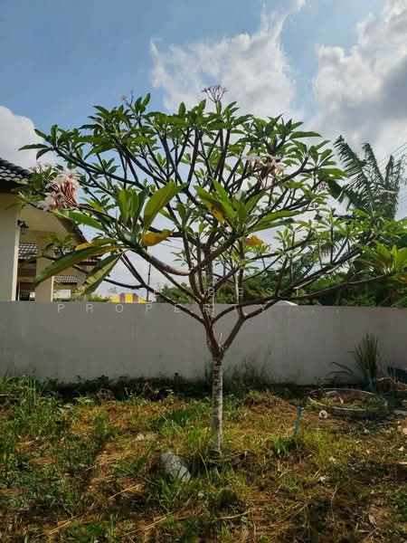 ที่ดินเกาะขวาง จันทบุรี, Chanthaburi, Ko Khwang, Muang Chanthaburi, Chanthaburi, , 400 sqm, Land For Sale, by The Best Property โชติ, 500253303 - DDproperty.com