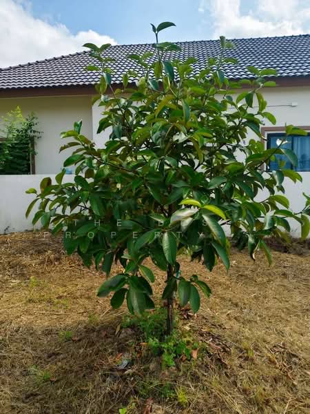 ที่ดินเกาะขวาง จันทบุรี, Chanthaburi, Ko Khwang, Muang Chanthaburi, Chanthaburi, , 400 sqm, Land For Sale, by The Best Property โชติ, 500253303 - DDproperty.com