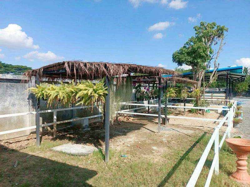 ขายและให้เช่า บ้านพร้อมฟาร์ม 1 ไร่ 3 งาน 86 ตร.ว., Chiang Mai, Nong Phung, Saraphi, Chiang Mai, 2 Bedrooms, 117 sqm, Single Detached House For Sale, by ERA Thailand, 500253305 - DDproperty.com