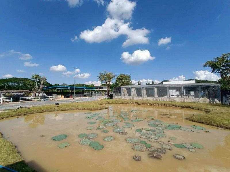 ขายและให้เช่า บ้านพร้อมฟาร์ม 1 ไร่ 3 งาน 86 ตร.ว., เชียงใหม่, หนองผึ้ง, สารภี, เชียงใหม่, 117 ตร.ม., บ้านเดี่ยว ขาย, โดย ERA Thailand, 500253305 - DDproperty.com