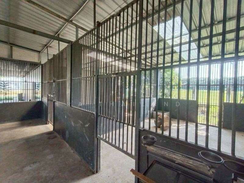 ขายและให้เช่า บ้านพร้อมฟาร์ม 1 ไร่ 3 งาน 86 ตร.ว., Chiang Mai, Nong Phung, Saraphi, Chiang Mai, 2 Bedrooms, 117 sqm, Single Detached House For Sale, by ERA Thailand, 500253305 - DDproperty.com