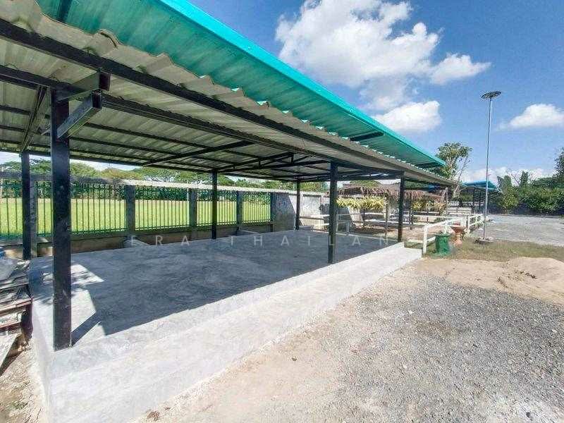 ขายและให้เช่า บ้านพร้อมฟาร์ม 1 ไร่ 3 งาน 86 ตร.ว., Chiang Mai, Nong Phung, Saraphi, Chiang Mai, 2 Bedrooms, 117 sqm, Single Detached House For Sale, by ERA Thailand, 500253305 - DDproperty.com