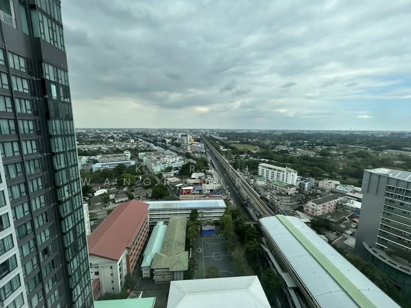CIELA Sripatum, Bangkok, 2999 Phahonyothin Road, Lat Yao, Chatuchak, Bangkok, 1 Bedroom, 32 sqm, Condo For Rent, by Keerati  Wangrujirakul, 500253409 - DDproperty.com