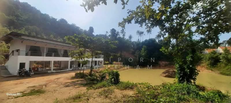 4-BR Villa, Surat Thani, Ko Phangan, Ko Phangan, Surat Thani, 4 Bedrooms, 582 sqm, Villa For Sale, by Thitiporn Pawikham, 500253472 - DDproperty.com