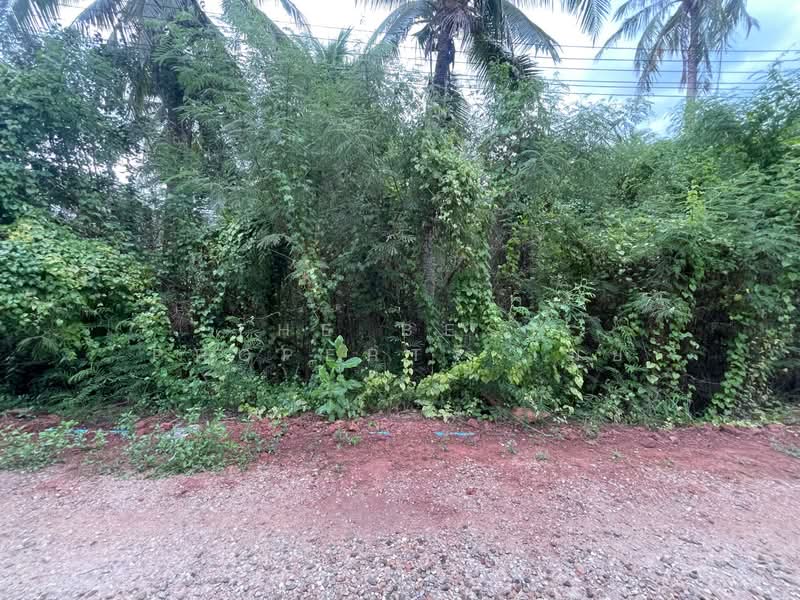 ที่ดินดำเนินสะดวก ราชบุรี, ราชบุรี, ท่านัด, ดำเนินสะดวก, ราชบุรี, 976 ตร.ม., ที่ดิน ขาย, โดย The Best Property เมย์, 500253603 - DDproperty.com