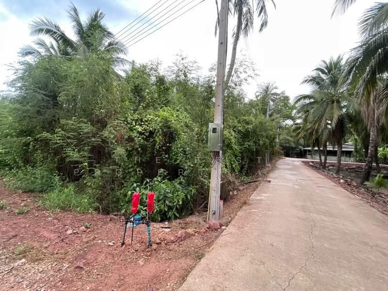 ที่ดินดำเนินสะดวก ราชบุรี, ราชบุรี, ท่านัด, ดำเนินสะดวก, ราชบุรี, 976 ตร.ม., ที่ดิน ขาย, โดย The Best Property เมย์, 500253603 - DDproperty.com