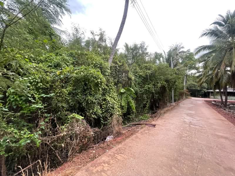 ที่ดินดำเนินสะดวก ราชบุรี, ราชบุรี, ท่านัด, ดำเนินสะดวก, ราชบุรี, 976 ตร.ม., ที่ดิน ขาย, โดย The Best Property เมย์, 500253603 - DDproperty.com