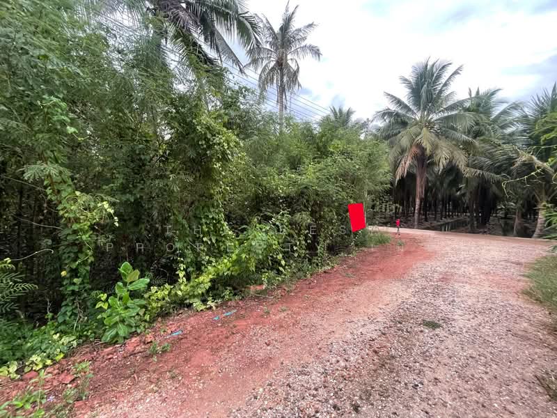 ที่ดินดำเนินสะดวก ราชบุรี, ราชบุรี, ท่านัด, ดำเนินสะดวก, ราชบุรี, 976 ตร.ม., ที่ดิน ขาย, โดย The Best Property เมย์, 500253603 - DDproperty.com