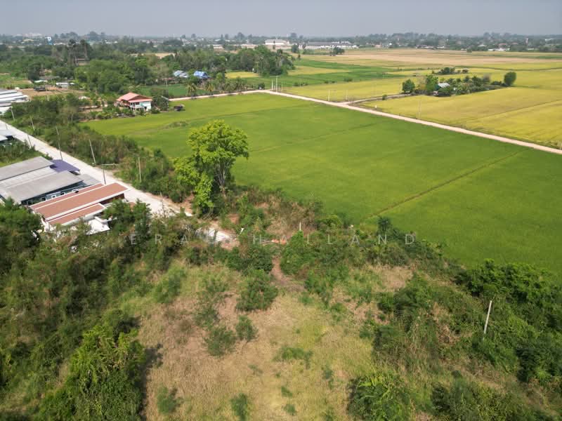 ขายที่ดิน ใกล้แยกวัดสะกัดน้ำมัน วังส้มซ่า 132 ตร.วา, Phitsanulok, Tha Pho, Muang Phitsanulok, Phitsanulok, , 528 sqm, Land For Sale, by ERA Thailand, 500253626 - DDproperty.com