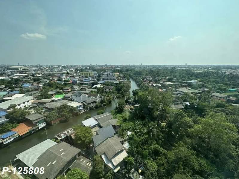 The Tempo Grand Sathorn-Wutthakat, Bangkok, Ratchaphruek Road, Bangko, Chom Thong, Bangkok, 1 Bedroom, 30 sqm, Condo For Rent, by Nichaphat Sakunchayapha, 500253646 - DDproperty.com