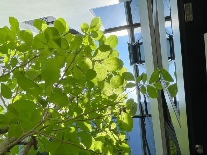 3-BR House, Bangkok, Sala Thammasop, Thawi Watthana, Bangkok, 3 Bedrooms, 350 sqm, Single Detached House For Sale, by Pemika Aukkaraleekul, 500253698 - DDproperty.com