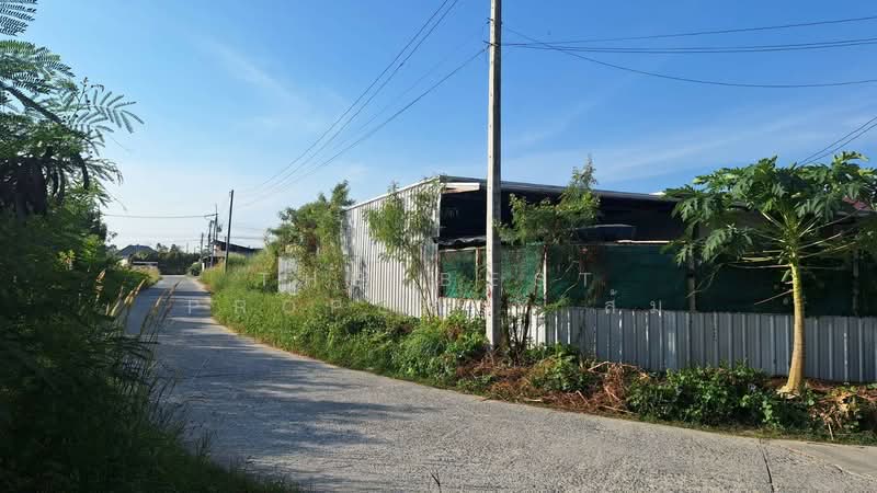 บ้านเดี่ยวพานทอง ชลบุรี, Chon Buri (Pattaya), Nong - Hong, Phan Thong, Chon Buri (Pattaya), 3 Bedrooms, 120 sqm, Single Detached House For Sale, by The Best Property ส้ม, 500253812 - DDproperty.com