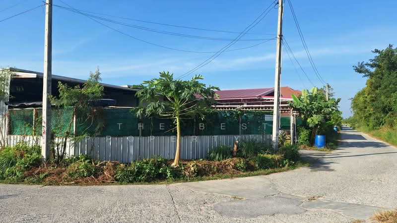 บ้านเดี่ยวพานทอง ชลบุรี, Chon Buri (Pattaya), Nong - Hong, Phan Thong, Chon Buri (Pattaya), 3 Bedrooms, 120 sqm, Single Detached House For Sale, by The Best Property ส้ม, 500253812 - DDproperty.com