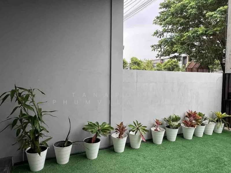 Verve Rama 9, Bangkok, Kanchanaphisek Road, Saphan Sung, Saphan Sung, Bangkok, 3 Bedrooms, 143 sqm, Townhouse For Sale, by Tanaporn Phumvilairak, 500254065 - DDproperty.com