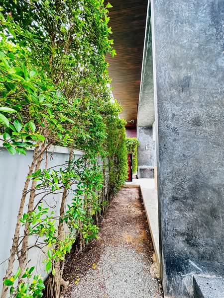 Chalong Palai Villa, Phuket, Chalong, Muang Phuket, Phuket, 3 Bedrooms, 250 sqm, Villa For Rent, by Apichaya Jamjarat (Amanda), 500254224 - DDproperty.com