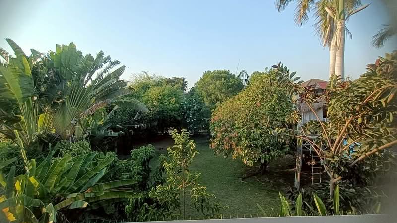 Perfect Place Ramkhamhaeng 164, Bangkok, Soi Ramkhamhaeng 164, Saphan Sung, Saphan Sung, Bangkok, 4 Bedrooms, 198 sqm, Single Detached House For Sale, by ชลิภา ชัยยะกุลภา, 500254234 - DDproperty.com