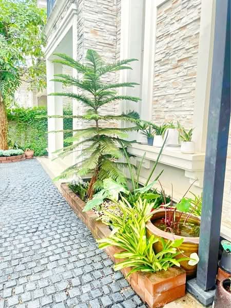 ไม่พบโครงการ, Bangkok, นวมินทร์ 38-44 เกษตร-นวมินทร์, Khlong Kum, Bueng Kum, Bangkok, 4 Bedrooms, 200 sqm, Single Detached House For Rent, by ณัฐพงศ์ สุนทรอรุณ, 500254289 - DDproperty.com