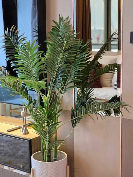 The Riviera Ocean Drive : เดอะ ริเวียร่า โอเชี่ยน ไดร์ฟ, ชลบุรี, ถนนจอมเทียนสายสอง, หนองปรือ, บางละมุง, ชลบุรี, 44 ตร.ม., คอนโด ให้เช่า, โดย Mantana Techapahaphong, 500254360 - DDproperty.com