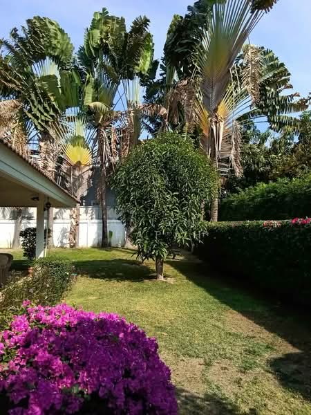 3-BR Villa, Prachuap Khiri Khan, Hin Lek Fai, Hua Hin, Prachuap Khiri Khan, 3 Bedrooms, 150 sqm, Villa For Rent, by Mantana Techapahaphong, 500254376 - DDproperty.com