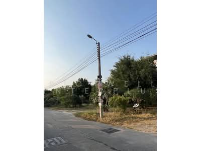 ขาย - ขายที่ดินถมแล้วหนองปรือ พัทยากลาง 200 ตรว. ติดถนนซ.สุขุมวิทพัทยา63 ใกล้เซ็นทรัลพัทยา-3กม. อ.บางละมุง, ชลบุรี