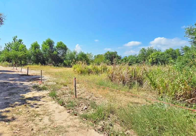 ที่ดินเพ ระยอง, Rayong, Phe, Muang Rayong, Rayong, , 1,628 sqm, Land For Sale, by The Best Property กอล์ฟ, 500254519 - DDproperty.com