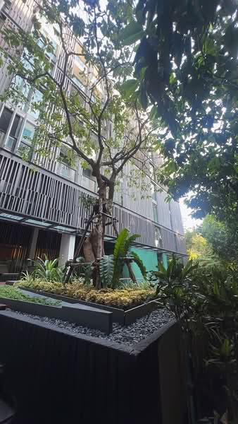 Via 49, Bangkok, 25/1 Soi Sukhumvit 49, Sukhumvit Road, Khlong Tan Nua, Watthana, Bangkok, 1 Bedroom, 35 sqm, Condo For Sale, by Patcharaporn Silprasert (Patcha), 500254556 - DDproperty.com