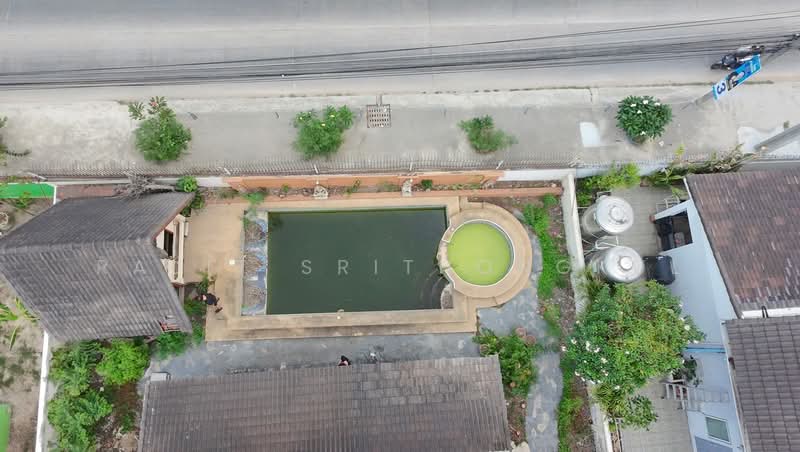 Chang Mai Villa, Chon Buri (Pattaya), Pattaya City, Bang Lamung, Bang Lamung (Pattaya), Chon Buri (Pattaya), 4 Bedrooms, 400 sqm, Single Detached House For Sale, by Rajit Srithongkul, 500254584 - DDproperty.com