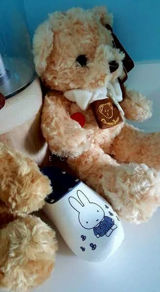 Baan Kiang Fah, Prachuap Khiri Khan, Phetkasem Road, Hua Hin, Hua Hin, Prachuap Khiri Khan, 1 Bedroom, 31 sqm, Condo For Sale, by Mantana Techapahaphong, 500254659 - DDproperty.com