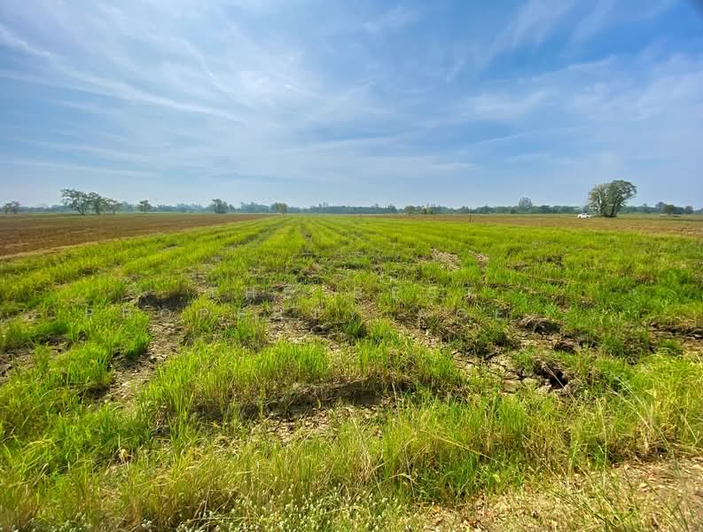 ที่ดินน้ำพอง ขอนแก่น, Khon Kaen, Tha Kra Soem, Nam Phong, Khon Kaen, , 8,840 sqm, Land For Sale, by The Best Property Agent โชค, 500254718 - DDproperty.com