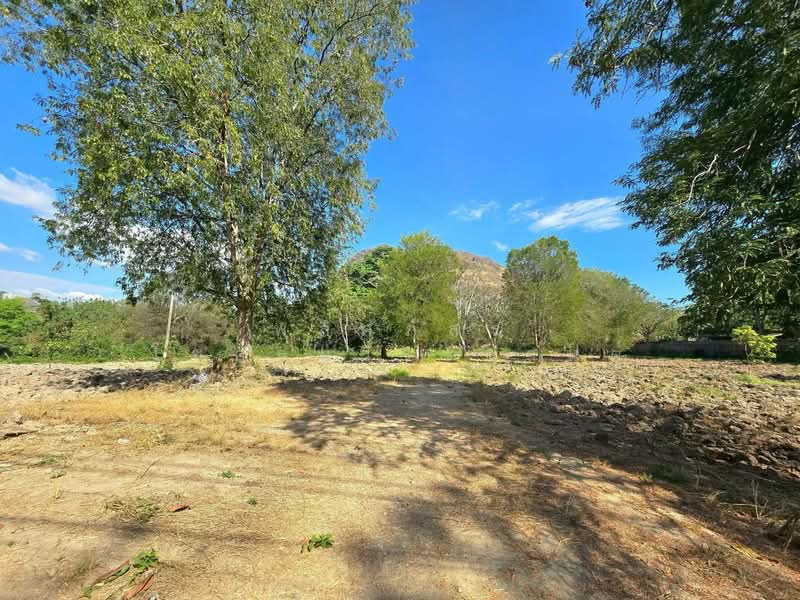 ให้เช่า - ถ.ธนะรัชต์ เขาใหญ่, นครราชสีมา