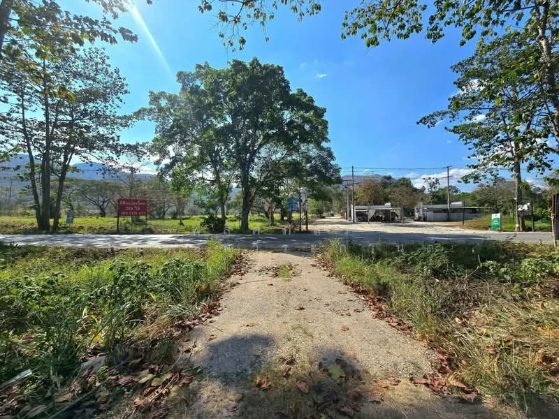 ให้เช่า - ถ.ธนะรัชต์ เขาใหญ่, นครราชสีมา