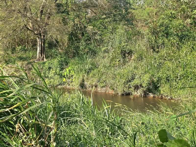 ให้เช่า - ถ.ธนะรัชต์ เขาใหญ่, นครราชสีมา